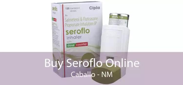 Buy Seroflo Online Caballo - NM
