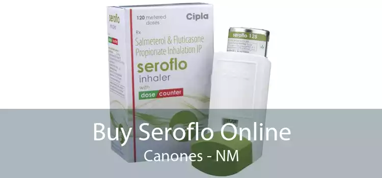 Buy Seroflo Online Canones - NM