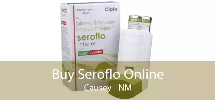 Buy Seroflo Online Causey - NM