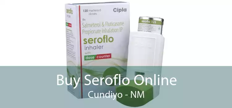 Buy Seroflo Online Cundiyo - NM