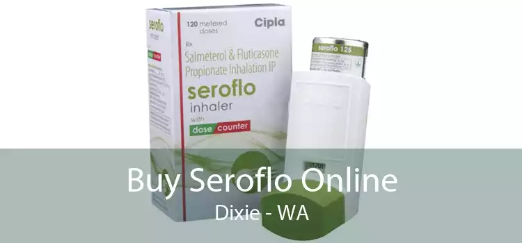 Buy Seroflo Online Dixie - WA