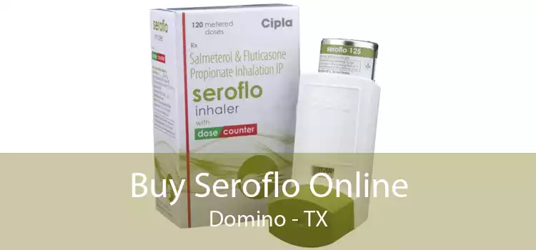 Buy Seroflo Online Domino - TX